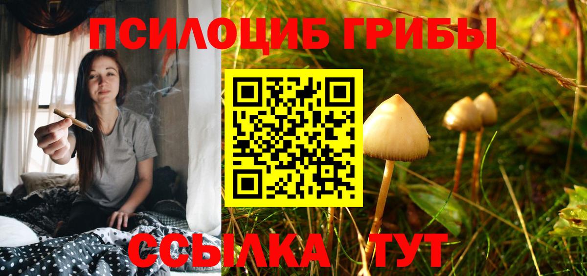 Галлюциногенные грибы Magic Shrooms  Вход с VPN  Асино 